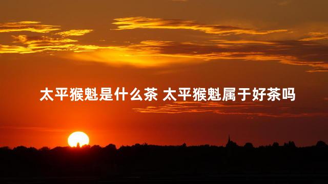 太平猴魁是什么茶 太平猴魁属于好茶吗